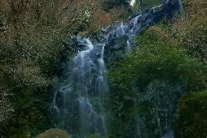 飛竜の滝