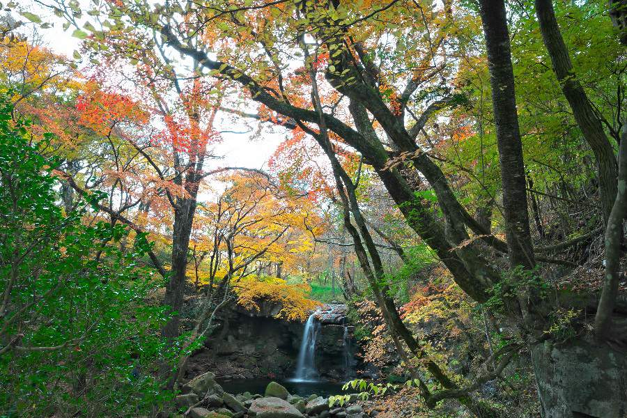 マゼノ滝（まぜのたき）【熊本県南小国町】