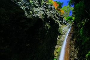 醤油樽の滝