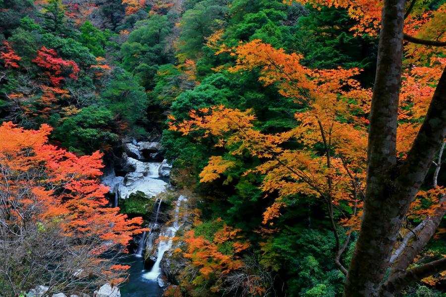 大轟の滝（おおとどろのき）　【徳島県那賀町】
