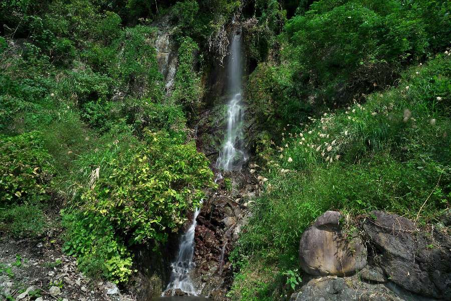 白竜の滝（はくりゅうのたき）【福井県南越前町】