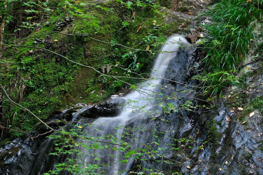 愛蓮の滝（あいれんのたき）【岐阜県下呂市】