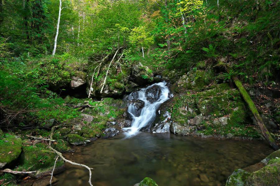 竜涎の滝（りゅうぜんのたき）【岐阜県高山市】