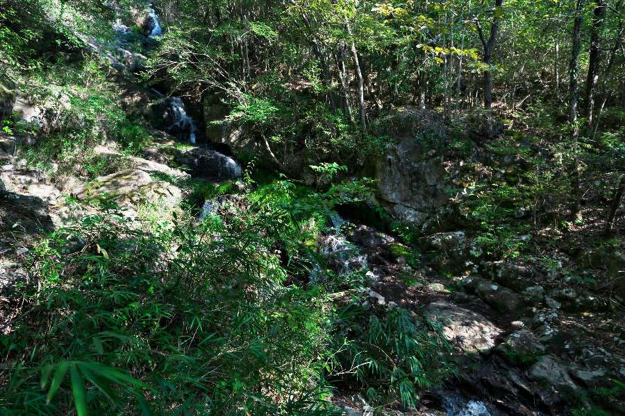 長楽の滝（ちょうらくのたき）【岡山県和気町】