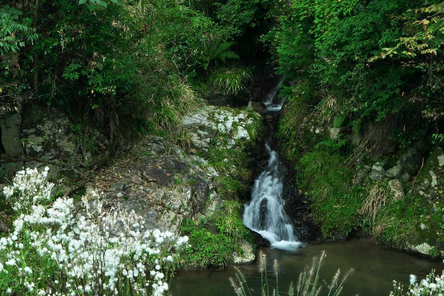 猪屋の滝（いのやのたき）【岡山県鏡野町】