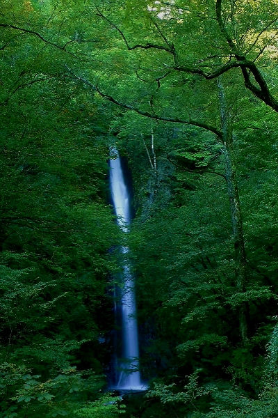 白糸の滝1