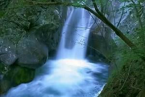 貞泉の滝（西沢渓谷）