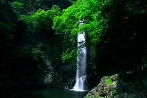 近畿地方の滝