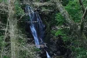 玉簾の滝
