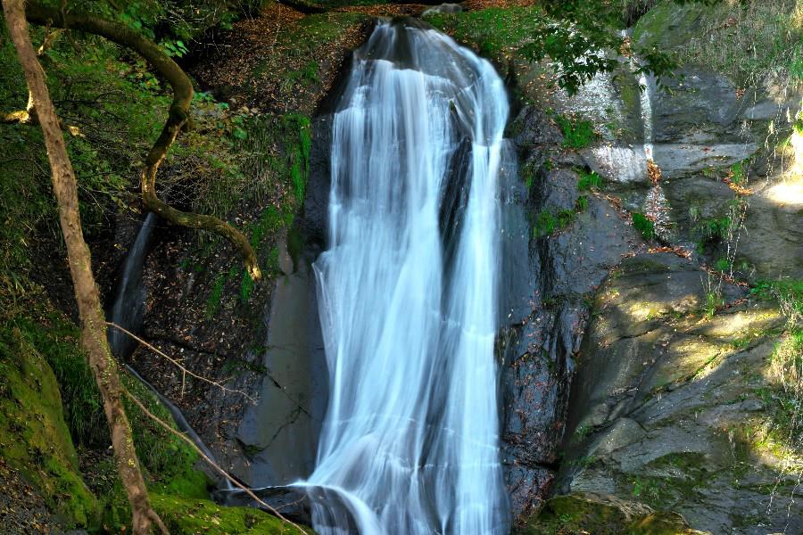 母滝(ははたき)【大分県竹田市】