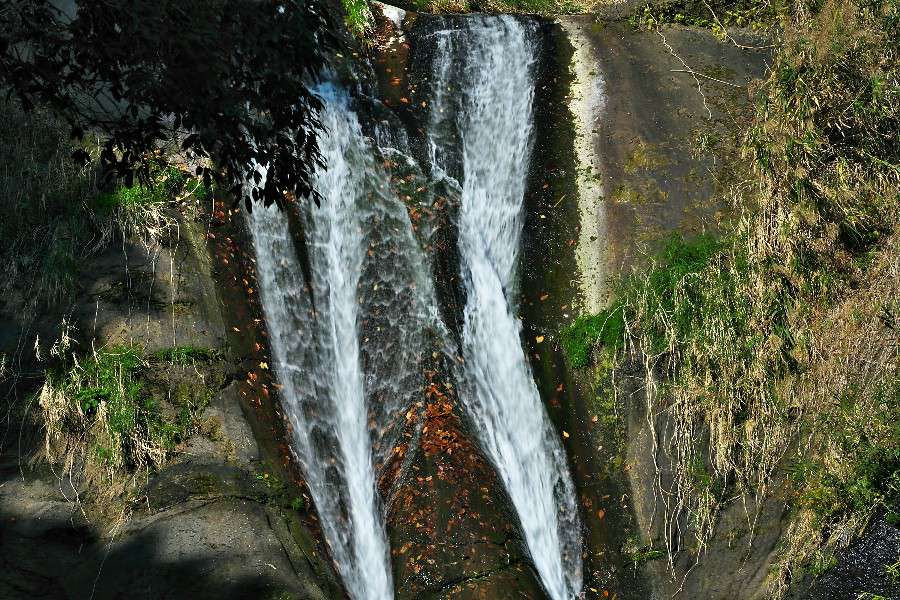 母滝(ははたき)【大分県竹田市】