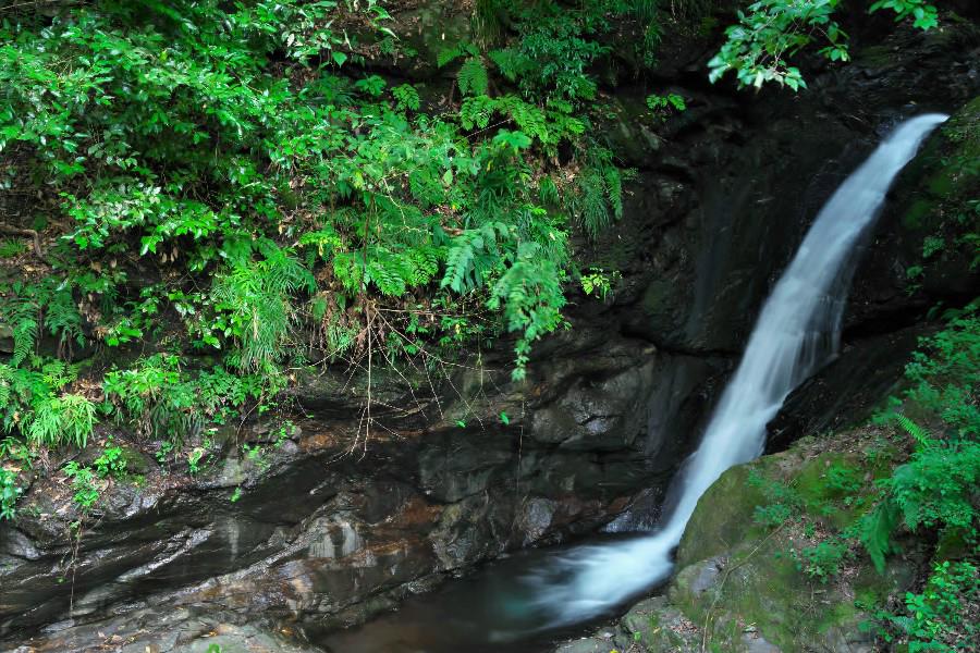 鮎返りの滝（あゆかえりのたき）≪津越の滝（つごえのたき）≫【愛媛県西条市】