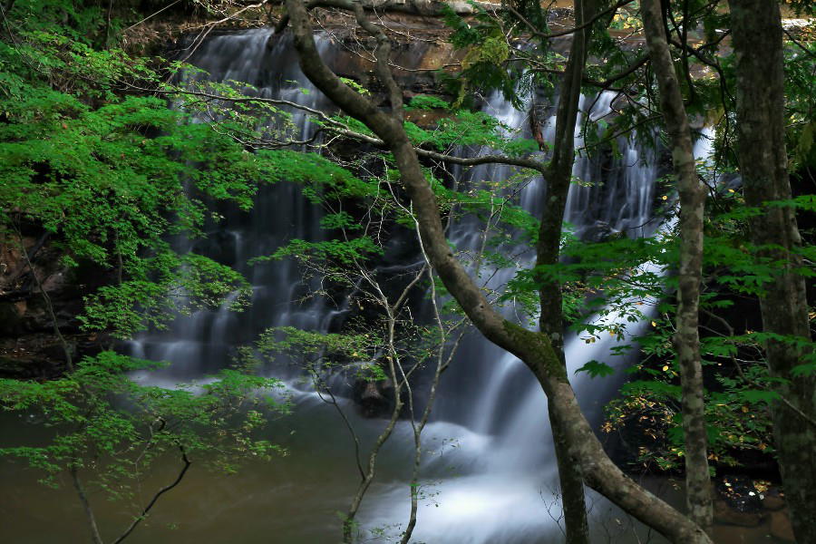 扇滝（おうぎたき）【秋田県三種町】