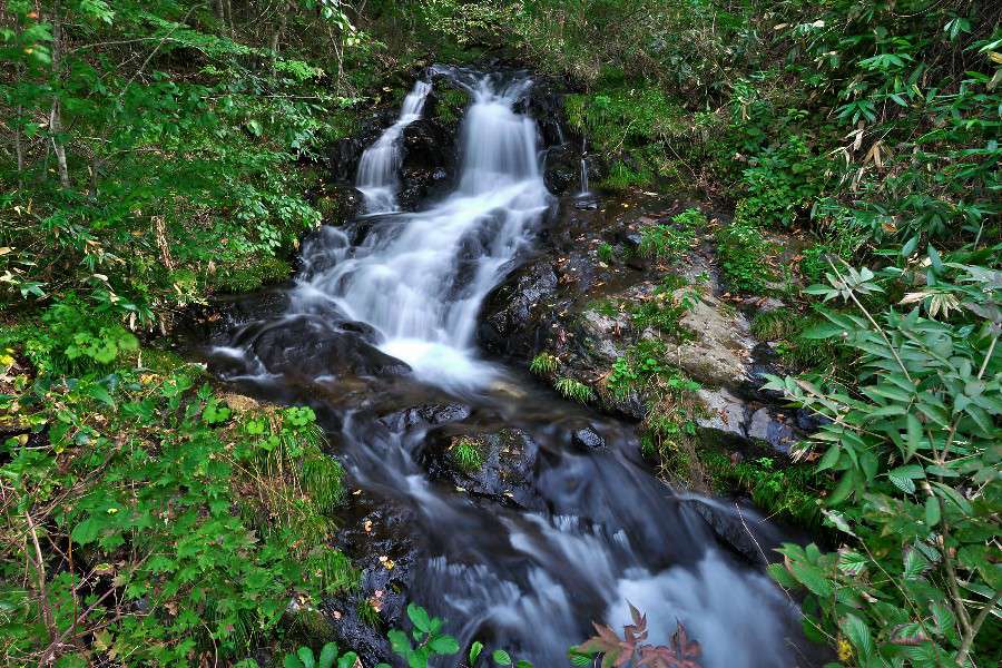 清廉の滝（せいれんのたき）【岩手県花巻市】