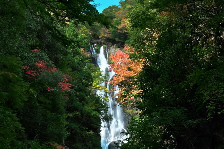 神庭の滝（かんばのたき）【岡山県真庭市】≪日本の滝百選≫】