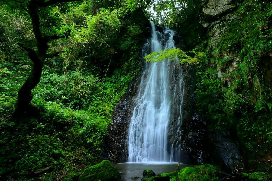 大魚切りの滝　（平栃の滝）島根県の滝・吉賀町
