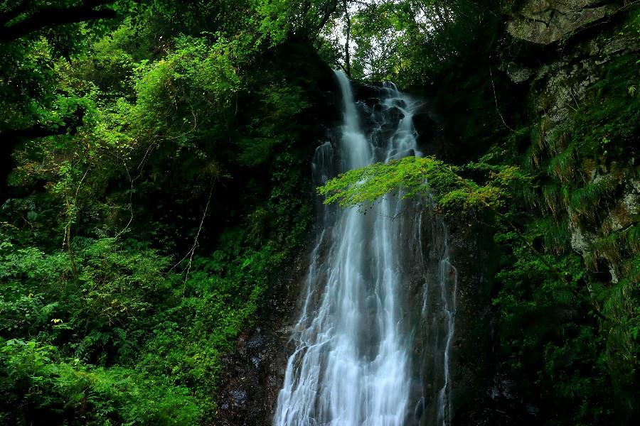 大魚切りの滝　（平栃の滝）島根県の滝・吉賀町